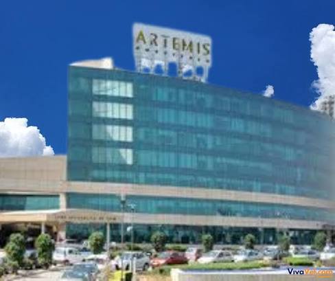 Artemis Hospital
